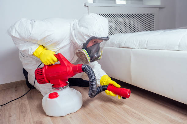 Best Bed Bug Extermination  in Jemez Pueblo, NM