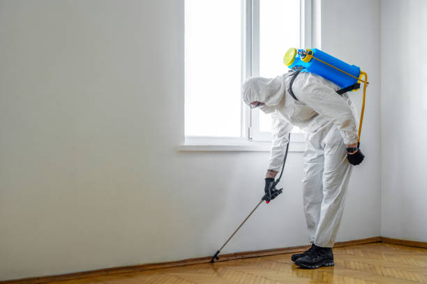 Best Pest Removal Services  in Jemez Pueblo, NM