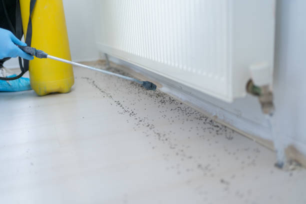Best Emergency Pest Control  in Jemez Pueblo, NM